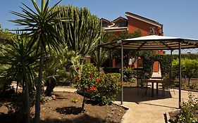B&B 7Cento Ulivi